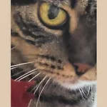 Plug Inn Montmartre By Hiphophostels