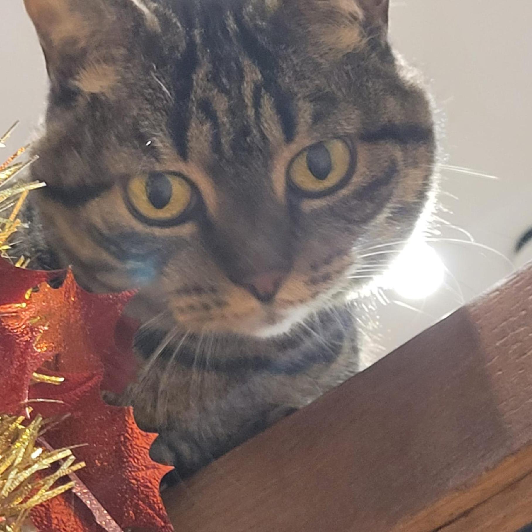 Plug Montmartre By Hiphophostels