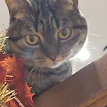 Plug Inn Montmartre By Hiphophostels