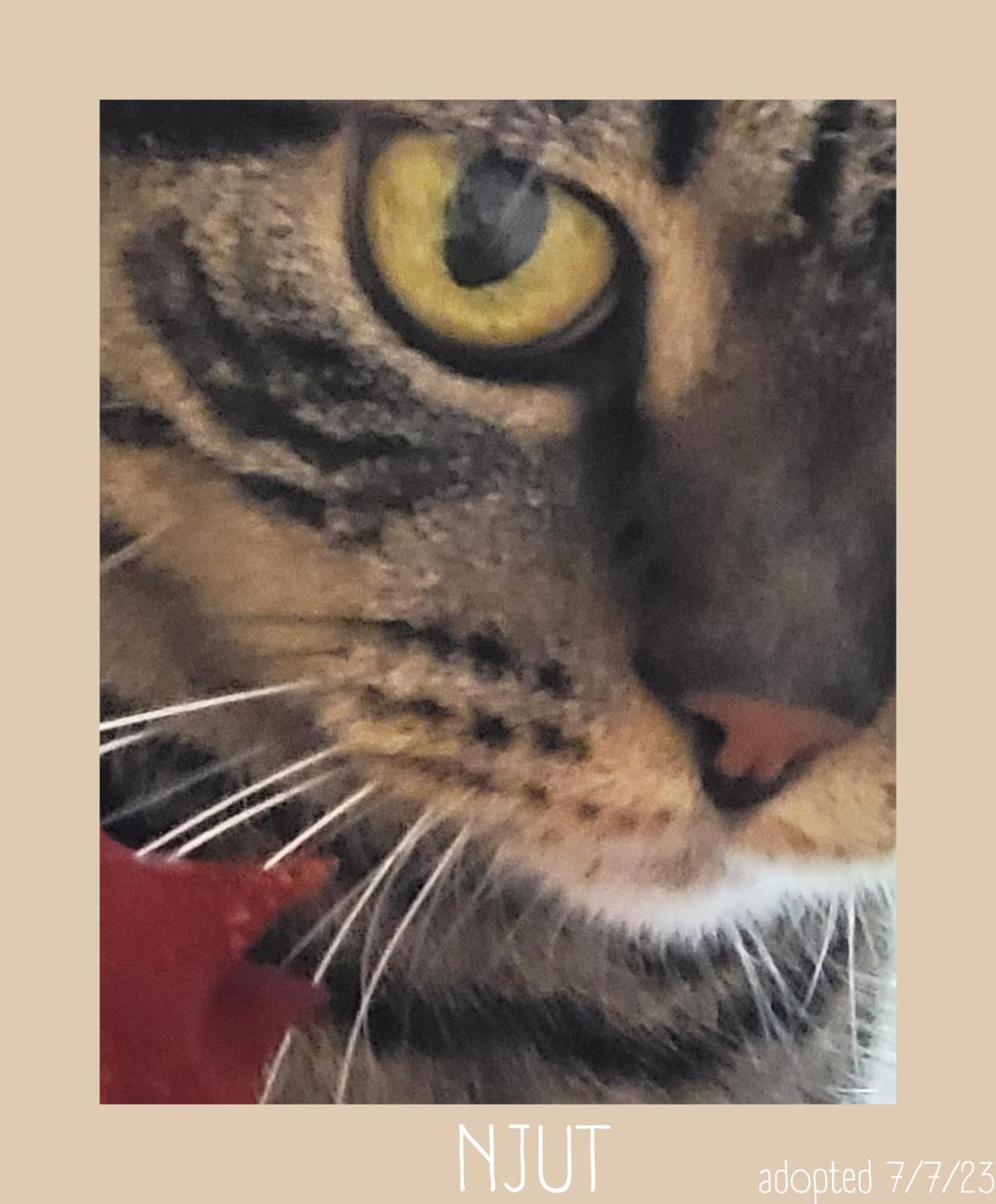 Hostel Plug Montmartre By Hiphophostels